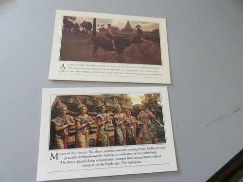 Paire cartes compagnie - paire,