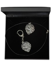 Berger polonais de plaine -