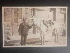 Photo armée suisse - 167 eme