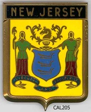 CAL205 - PLAQUE DE CALANDRE