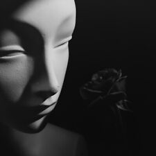 photo sur papier  argentique photo artistique 1960 format 30x30cm