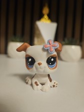 ✨️PETSHOP CHIEN BOULEDOGUE