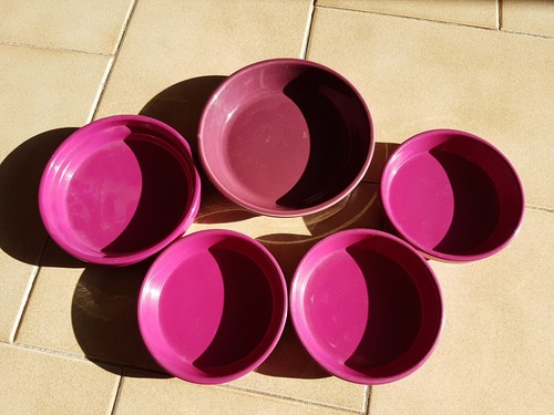 Lot soucoupes pot de - soucoupes,