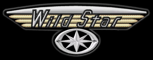 Yamaha wild star xvs1600 - yamaha,