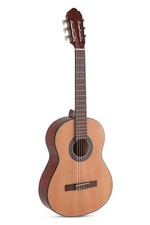 Vgs Guitare de Concert Student