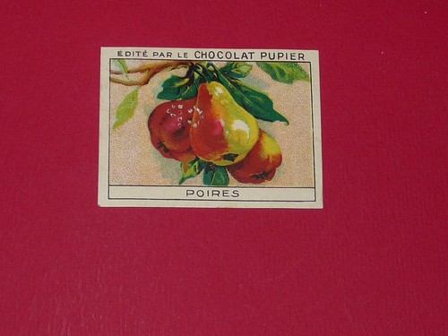 Chromo pupier 1930 album - pupier,