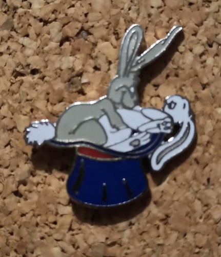 Pin lapins coquins humour - lapins,