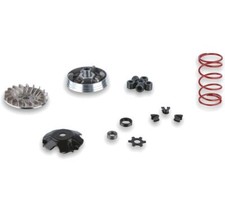 vario malossi mhr  over range