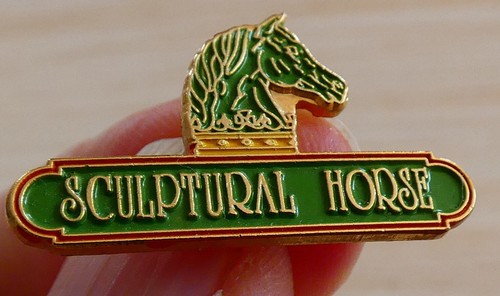 Beau pin equitation - beau, cheval