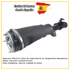 Amortisseur pneu arrière