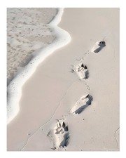 Plage sereine traces de pas