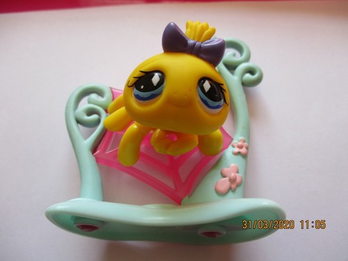 Petshop araignee 593 - petshop, n°593