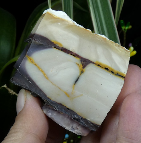 Jaspe mookaite brute - mookaite,