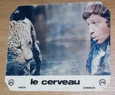Photo originale Le Cerveau - Gérard Oury - Jean-Paul Belmondo - Bourvil - 1969