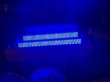 Lampe UV Ultra Violet contre Moustiques Mouches