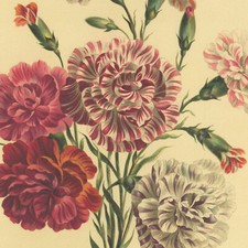 John Edwards Fleur Bouquet