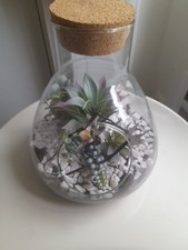 Bricolage plantes terrarium