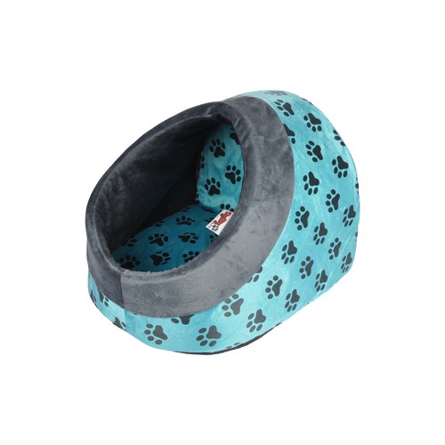 Animal compagnie chats nid - animal,