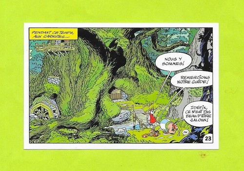 Vignette cora imbattable - cora,