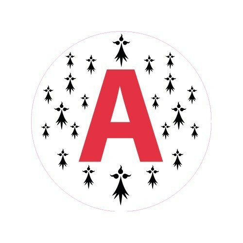 Jeune conducteur apprenti - jeune,