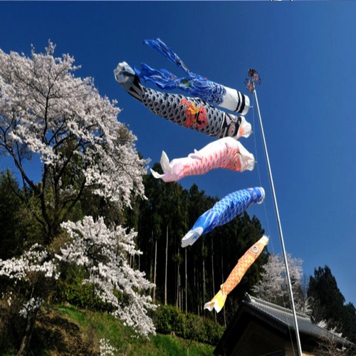 Set 5pcs japonais drapeau - set,