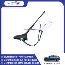🇫🇷 BRIN ANTENNE CITROEN