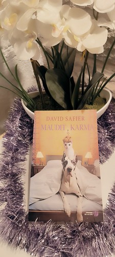 Livre maudit karma david - maudit,