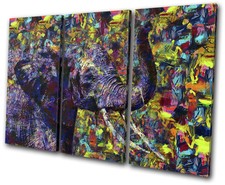 Elephant Colourful Paint