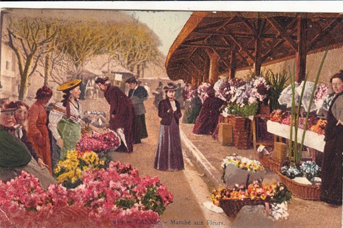 Cannes 459 marché aux - 459,