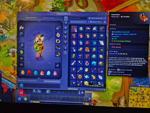 Dofus cra lvl 200 - opti, do