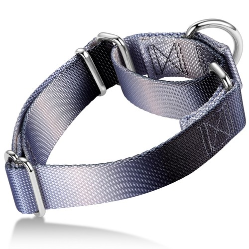 Martingale collier pour chien - collier,