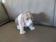Chien puppy porcelaine - puppy, en