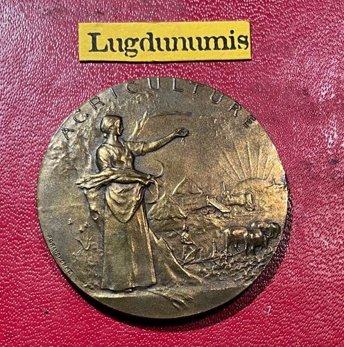 Medaille comice agricole la - comice, de