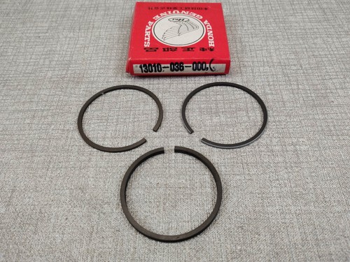 Segments cote standard - , pour