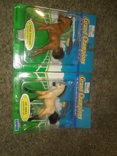 Grand Champions Dixie & Lil