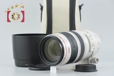 Canon EF 100-400mm f/4.5-5.6 L