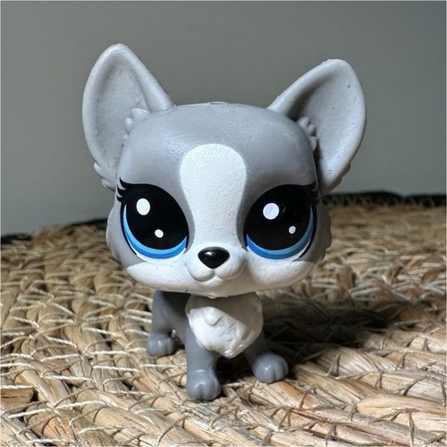 Lps petshop chien corgi - lps,