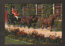 MOUTIER en DER : ARBALETE