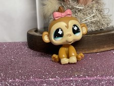 🌸Petshop singe Capucin