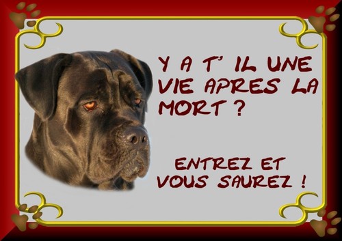 Plaque garde cane - garde,