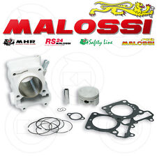 Malossi 3111588 Groupe