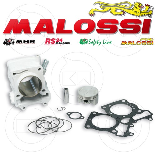 Malossi 3111588 groupe - malossi,