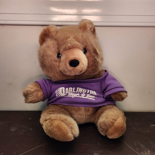 Darlington raceway teddy bear - darlington,