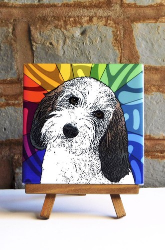 Petit basset griffon vendéen - petit,