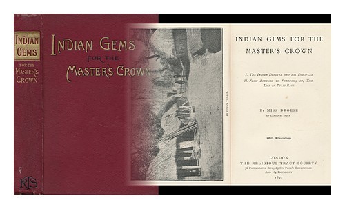 Droese miss indien gemmes - indien,