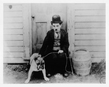 Charlie chaplin photo - chaplin,