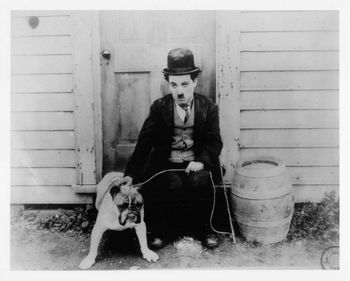 Charlie chaplin photo - chaplin,