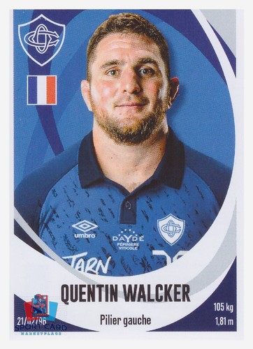 Panini rugby top 2025 - top, 14