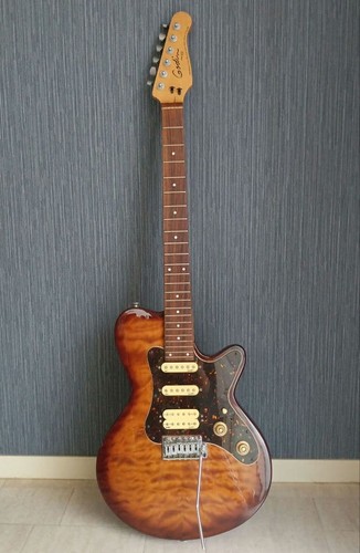 Electric guitar godin - guitar, sd