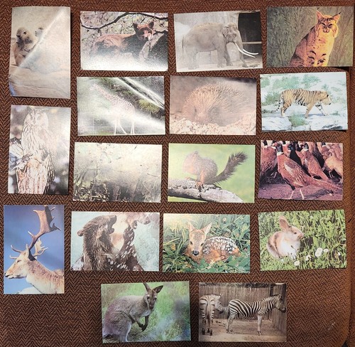 Grandes images collection - 17,